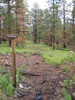 photo thumbnail #15