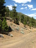 photo thumbnail #3