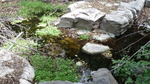 photo thumbnail #11
