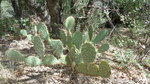 photo thumbnail #12