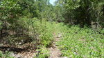photo thumbnail #15