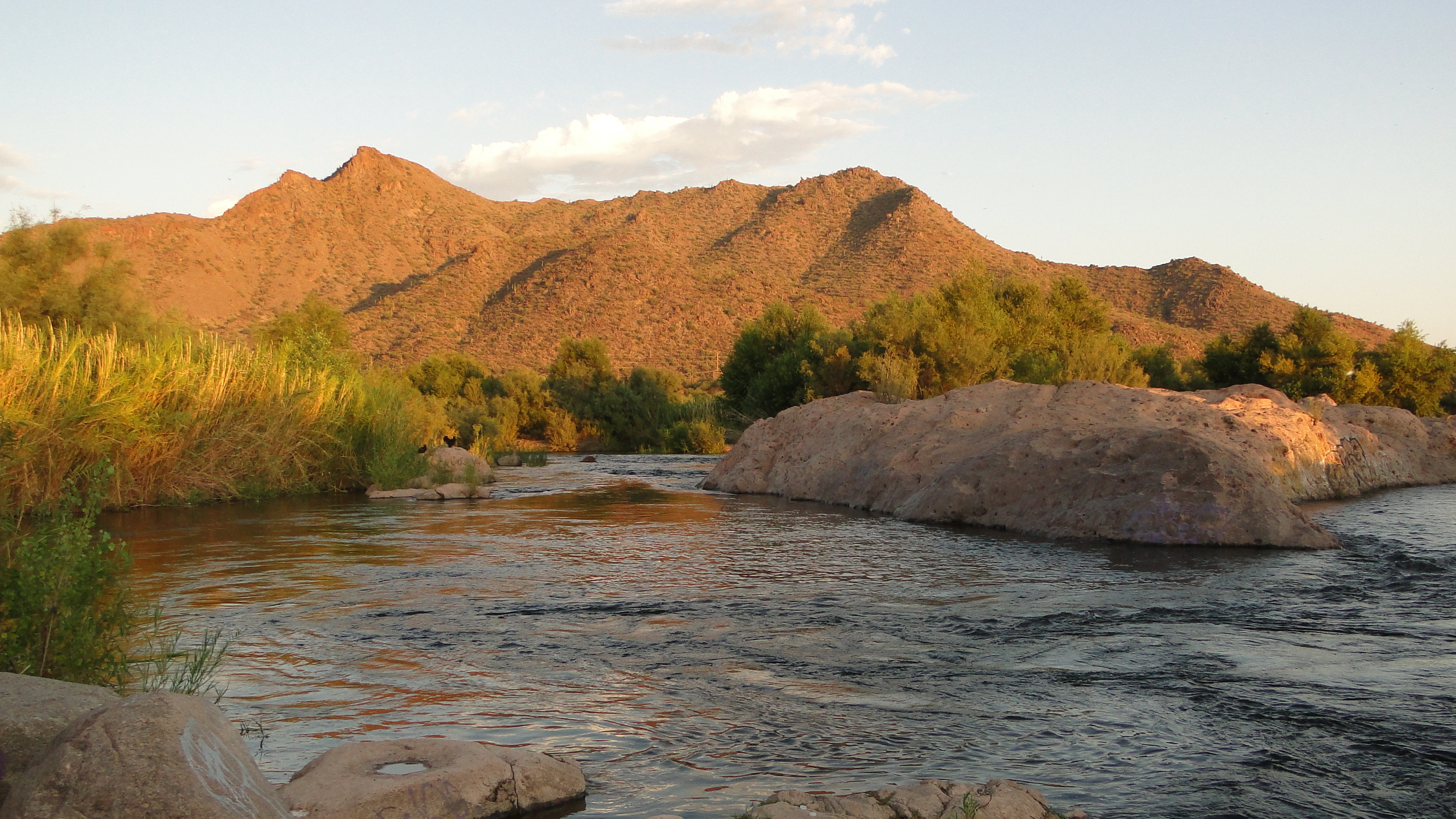Salt River Hiking Trail Lower Salt River Interpretive Trail #6, Az | Hikearizona