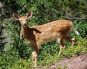 photo thumbnail #6