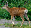 photo thumbnail #2