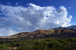photo thumbnail #1