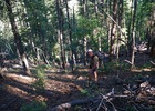 photo thumbnail #2