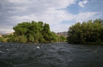 photo thumbnail #5