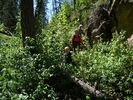 photo thumbnail #13