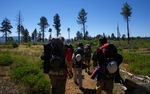 photo thumbnail #1
