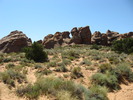 photo thumbnail #5