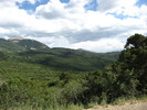 photo thumbnail #10