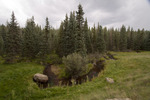 photo thumbnail #11