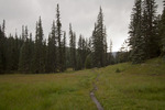 photo thumbnail #14