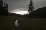 photo thumbnail #15