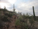 photo thumbnail #1