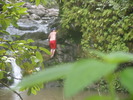 photo thumbnail #12