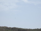 photo thumbnail #15