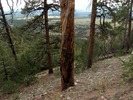 photo thumbnail #2