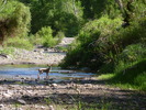 photo thumbnail #1