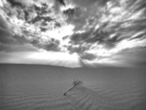 photo thumbnail #15