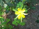 photo thumbnail #2