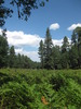 photo thumbnail #2