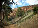 photo thumbnail #9