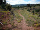 photo thumbnail #9