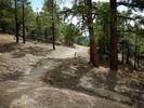 photo thumbnail #2