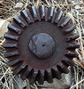 photo thumbnail #4
