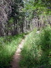 photo thumbnail #2