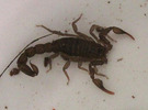 photo thumbnail #9