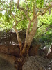 photo thumbnail #15