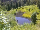 photo thumbnail #7