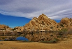 photo thumbnail #9