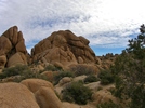photo thumbnail #13