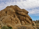 photo thumbnail #14