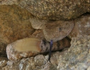photo thumbnail #15