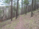 photo thumbnail #8