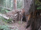 photo thumbnail #5