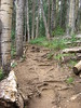 photo thumbnail #15
