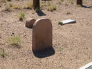 photo thumbnail #3