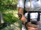 photo thumbnail #5