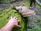 photo thumbnail #14