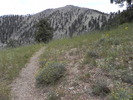 photo thumbnail #4