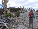 photo thumbnail #5
