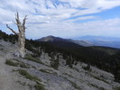 photo thumbnail #15