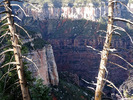 photo thumbnail #14