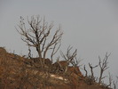 photo thumbnail #15