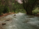 photo thumbnail #10